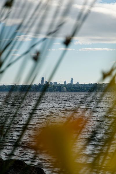 Golden Hour in Kirkland