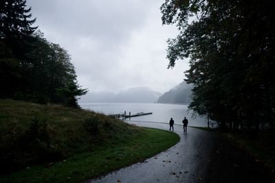 Olympic Peninsula in Fall