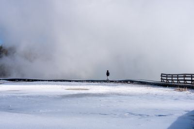 Yellowstone in Winter
