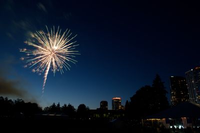 Fireworks Over Bellevue