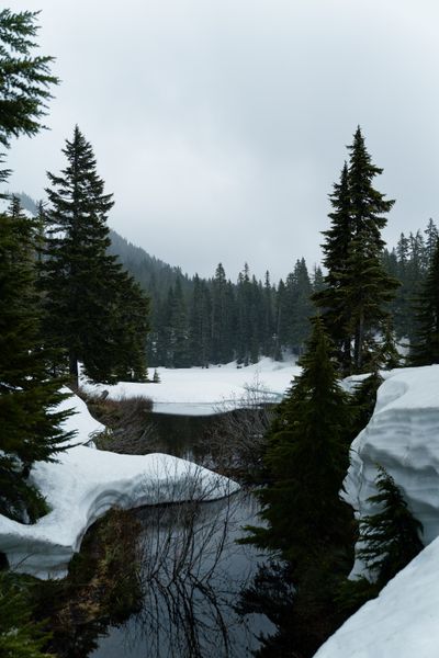 Island Lake
