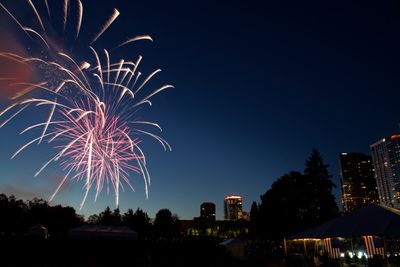 Fireworks Over Bellevue