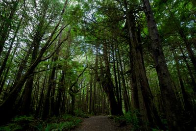 Olympic Peninsula in Fall