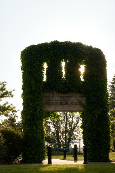 Golden Hour in Kirkland