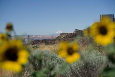 Around Mt. Hood
