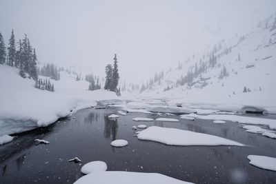 The Pacific Northwest Himalaya
