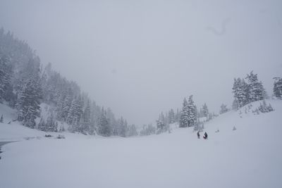 The Pacific Northwest Himalaya