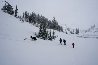 The Pacific Northwest Himalaya