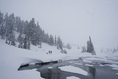 The Pacific Northwest Himalaya