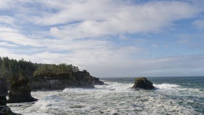 Olympic Peninsula in Fall