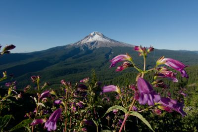 Around Mt. Hood