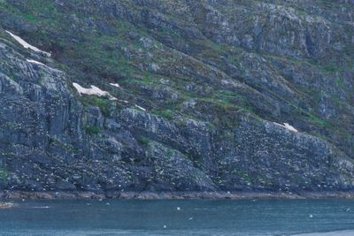 Alaska by Boat and Road