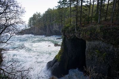 Olympic Peninsula in Fall